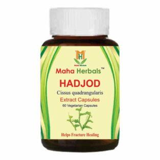 Maha Herbals Hadjod Extract Capsules, Ayurvedic Medicine for Fracture - 60 Vegetarian Capsules