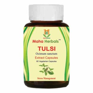 Maha Herbals Tulsi Extract Capsules, Ayurvedic Medicine for Asthma - 60 Vegetarian Capsules