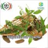 Nisarg Organic Nirgundi Leaf Powder - 100% Pure & Natural