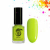 Beromt Nail Polish