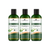 PARK DANIEL Hair Vitalizer Shampoo Green Tea