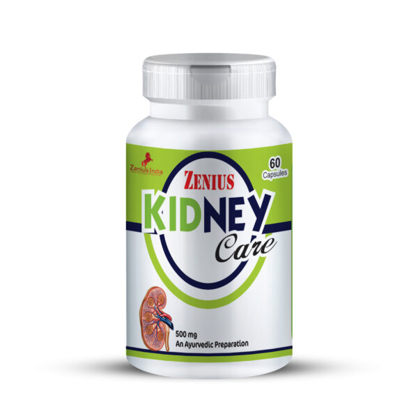 Kidney function capsules | Kidney stone relief capsules | Kidney health capsules | Kidney health medicine - 60 Capsules