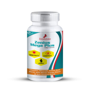 Multivitamin capsule energy | Joint pain relief capsules | Health power capsule - 60 Capsules
