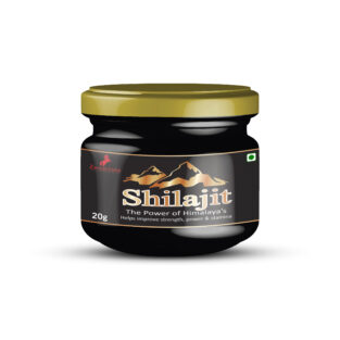 Shilajit chyawanprash | Shilajit resin | Stamina booster supplement | Zenius Shilajit resin - 20gm