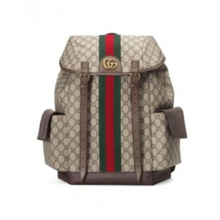 Gucci GG Bag Pack With Dust Bag (Brown)