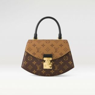 LV Louis Vuitton Handbag Tilsitt Bag brown 37