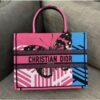 Lady Tote Christian Dior Bag 765
