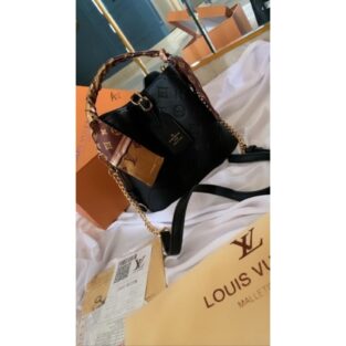 Latest Lady Louis Vuitton Bag 470