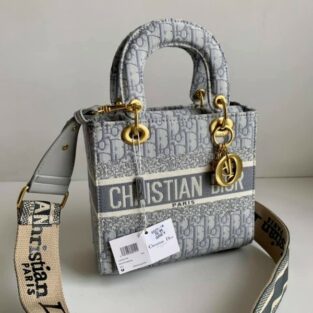 Lady's Christian Dior Handbag With Brand Box 728