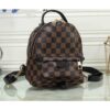 Louis Vuitton Bag palm springs small backpack