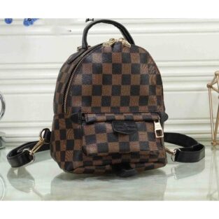 Louis Vuitton Handbag Palm Springs Small Backpack With Box