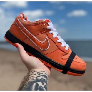 Nike Dunk Shoes Low Lobster Orange
