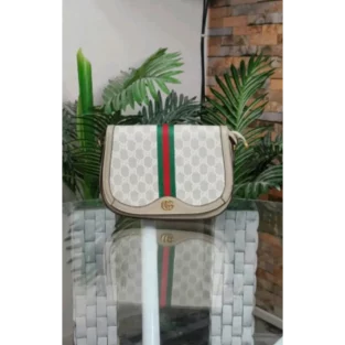 Gucci Handbag for Women (FT924)