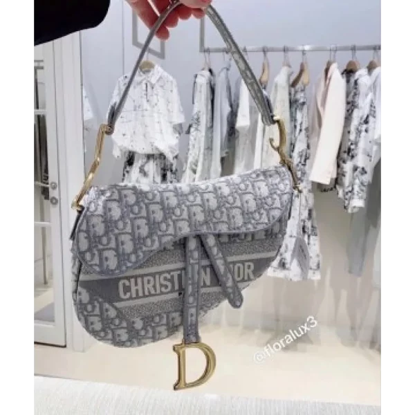 Imported Christian Dior Handbag For Women (SUP5239)