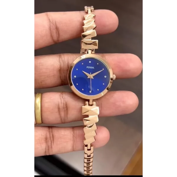 Luxurious Fossil Watch For Women (BDS3726)