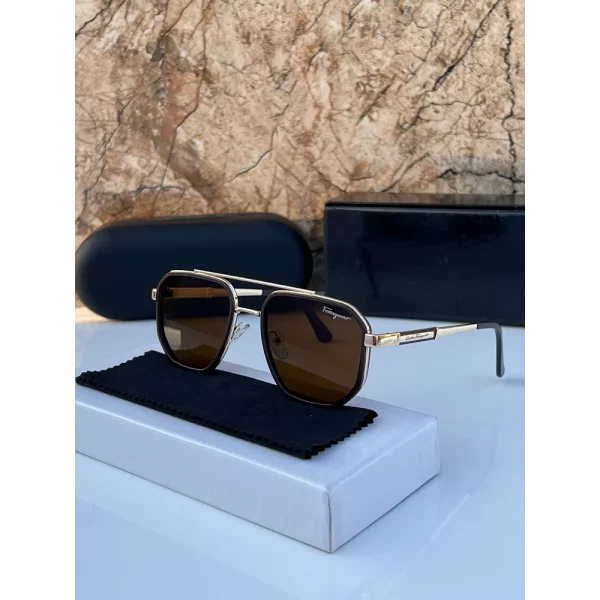 Imported Ferragamo Sunglasses (CSO2808)