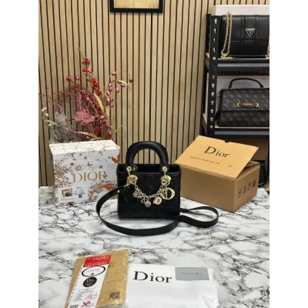 Luxurious Christian Dior Handbag For Women (SUP5344)