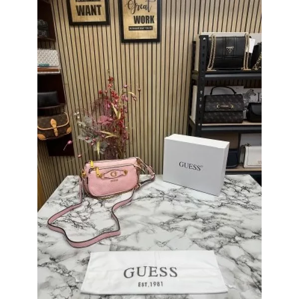 Luxurious Guess Handbag For Women (SUP5353)