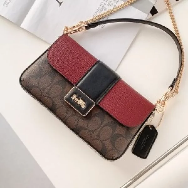 Luxurious Coach Handbag For Women (SUP5306) - Image 2