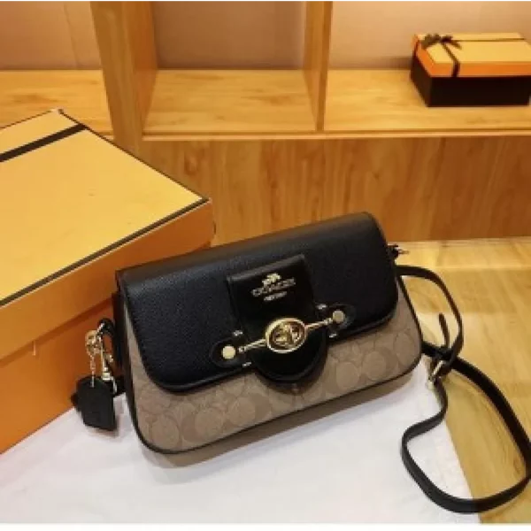 Luxurious Coach Handbag For Women (SUP5365)