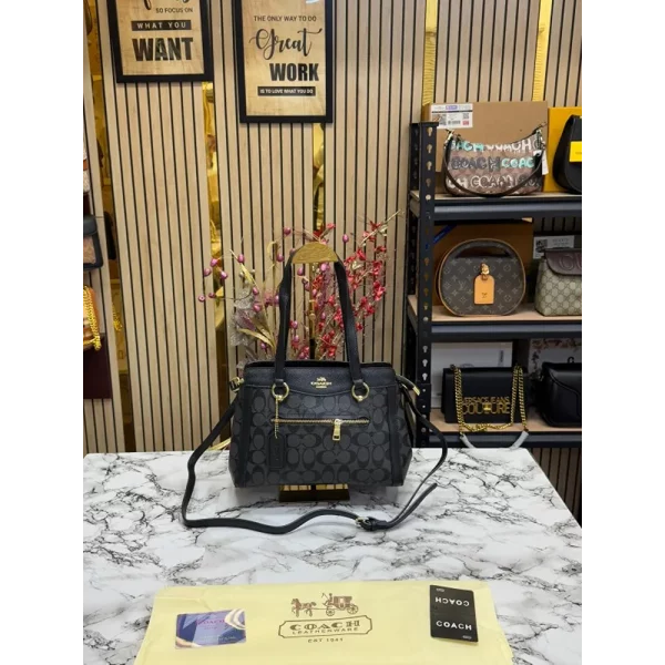 Luxurious Coach Handbag For Women (SUP5381)