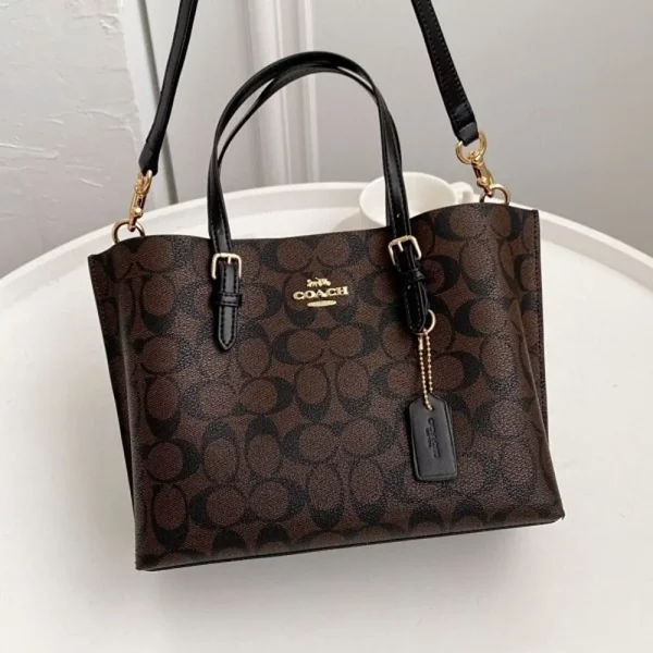 Luxurious Coach Handbag For Women With Brand Box (SUP5440)