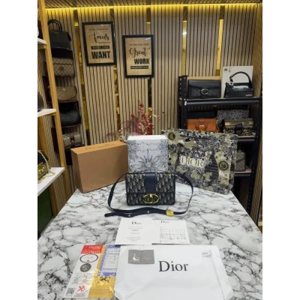 Luxurious Christian Dior Handbag For Women (SUP5332)