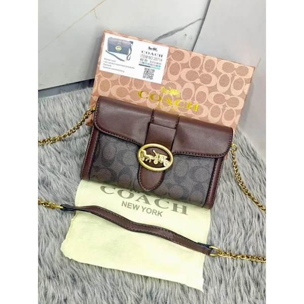 Premium Coach Handbag For Women (LAZ2300)